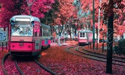 给自己加油打气的句子有哪些