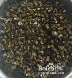 田螺外壳绿藻怎么去除