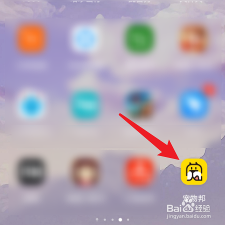 宠物邦如何设置手机动态壁纸