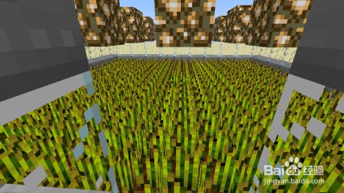 Minecraft红石教程 4 半自动小麦农场 百度经验