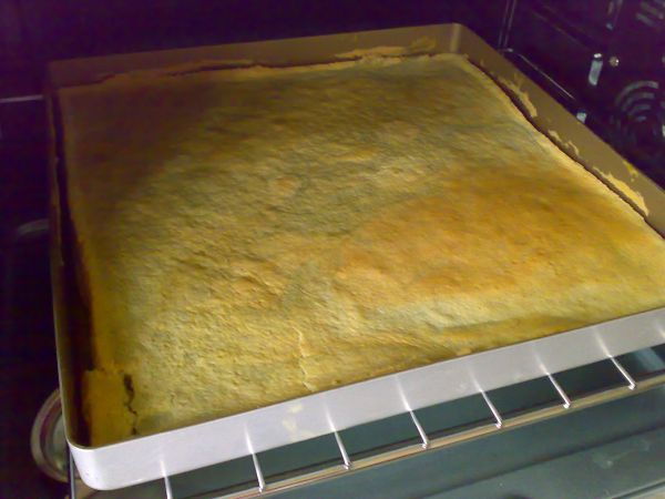 双色蜂蜜蛋糕卷