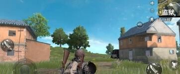 全息灌木使用技巧攻略