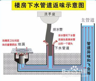 卫生间返味是怎么造成的