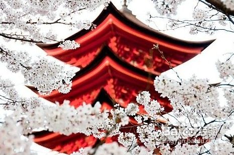 从零开始学日语
