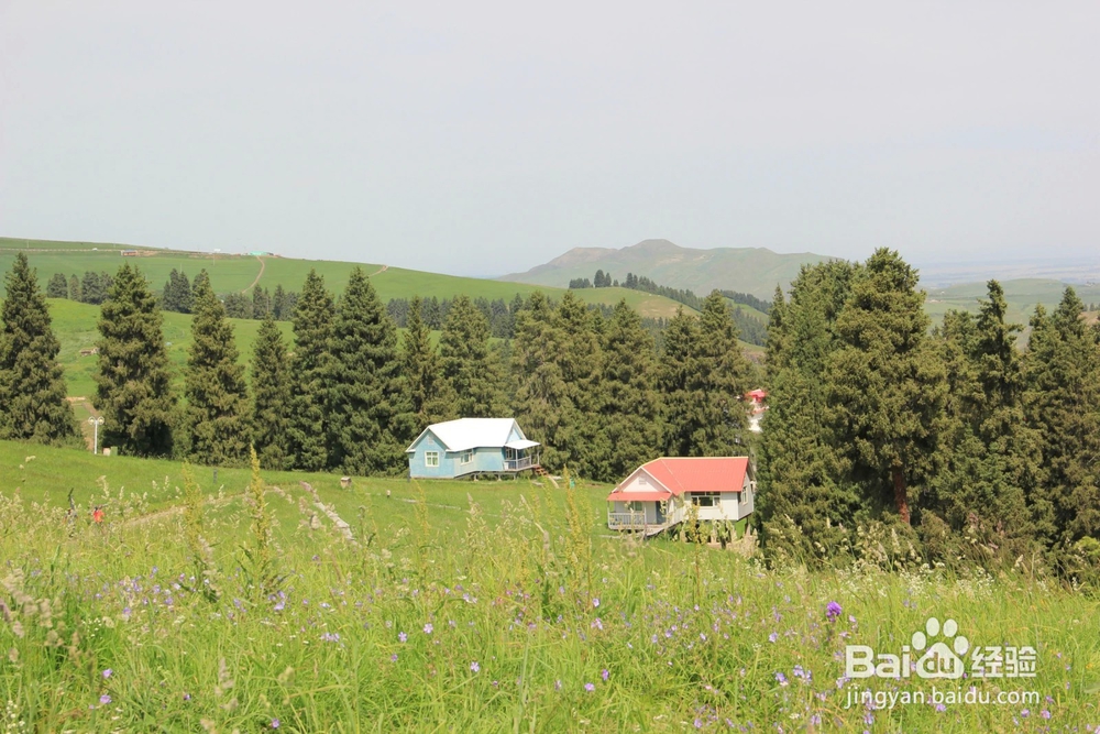 新疆避暑三日自驾游