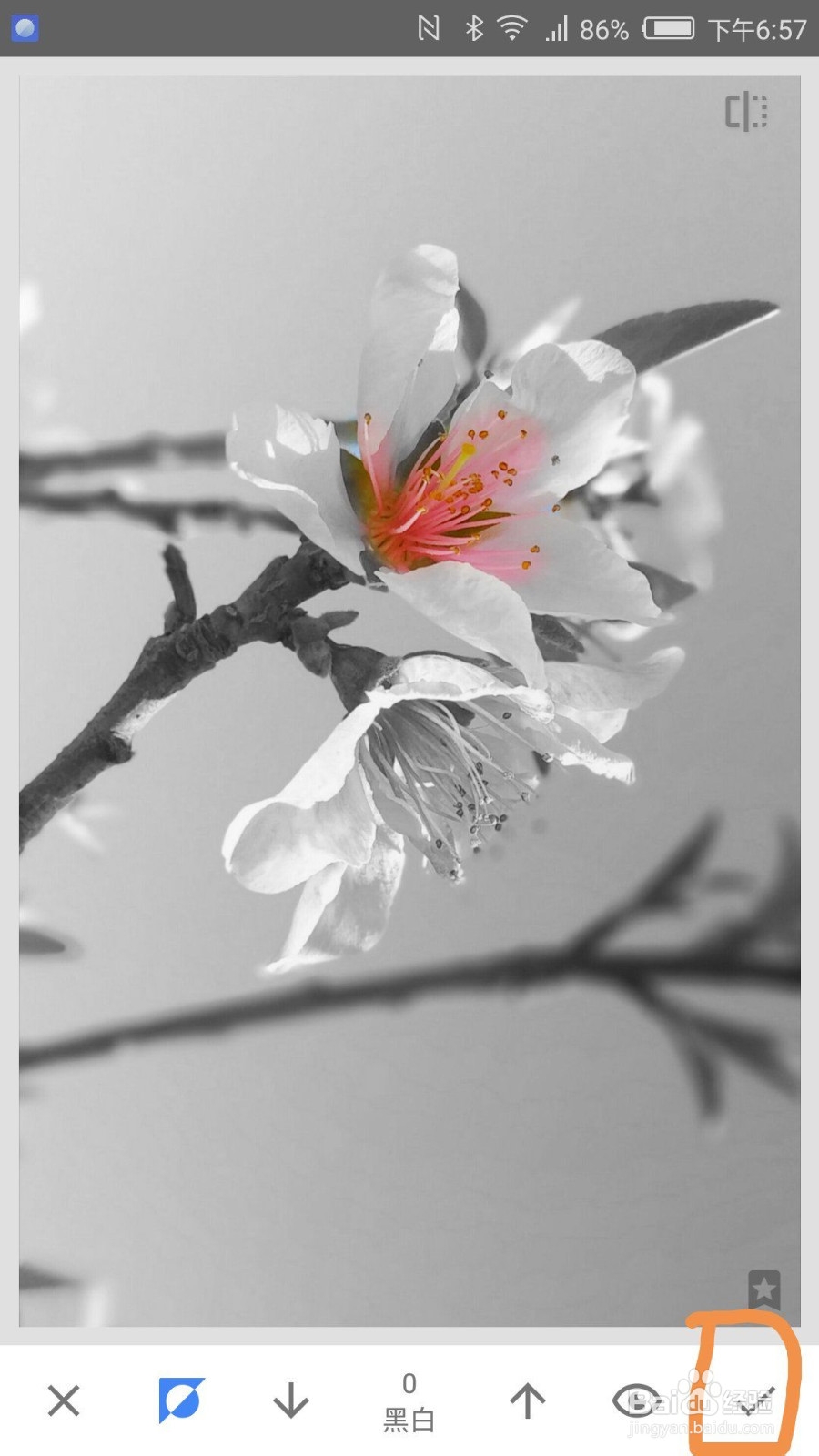 如何用snapseed进行图片的局部色彩保留