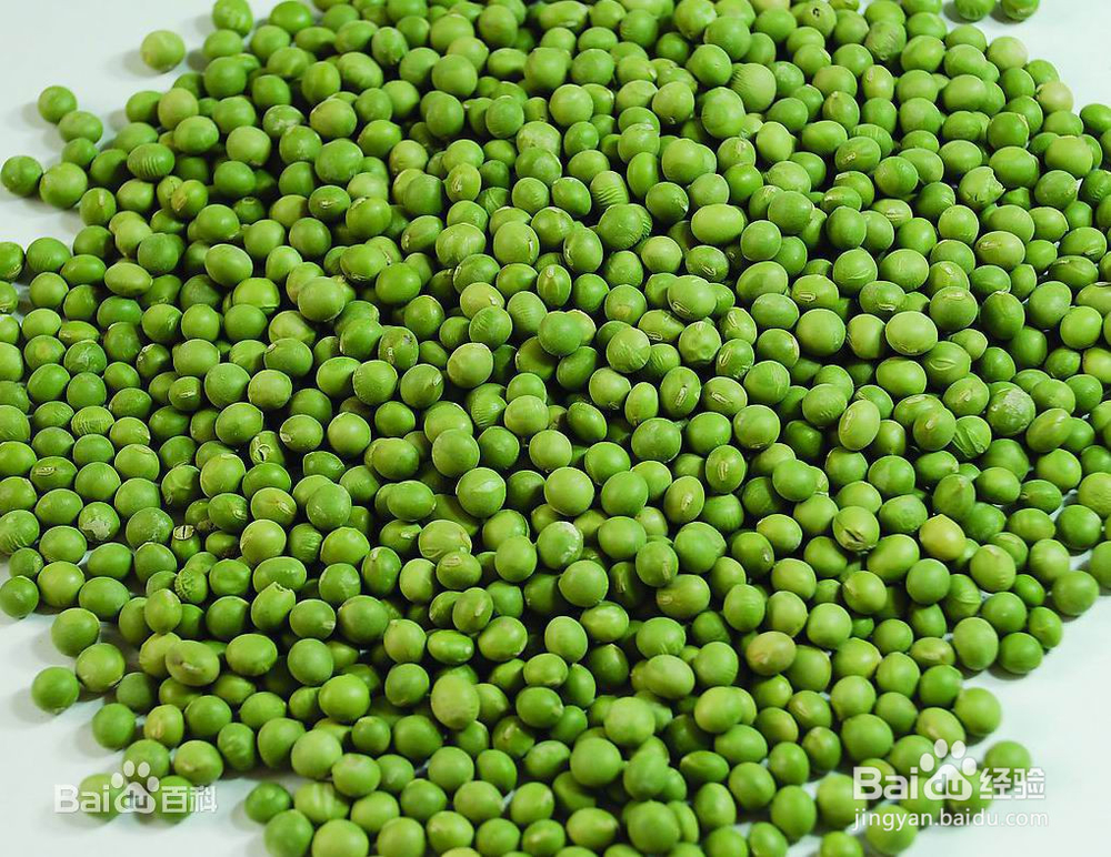 怎样做好吃的绿豆芽