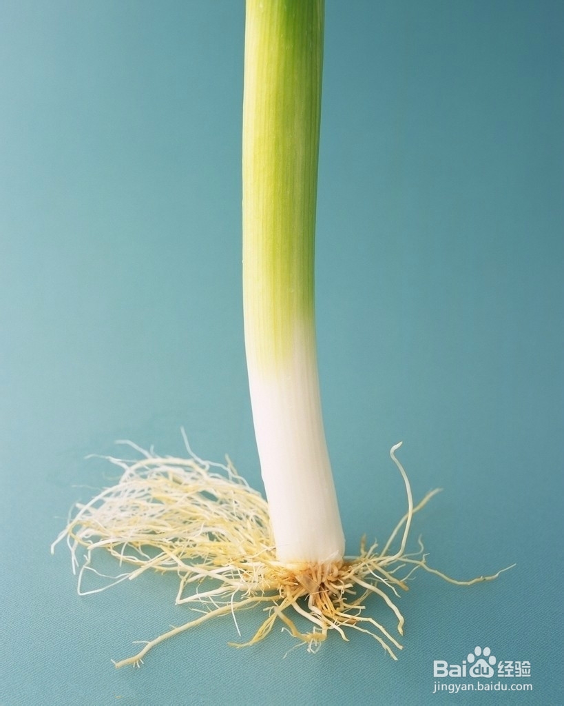 怎么治疗多日感冒（秘方）