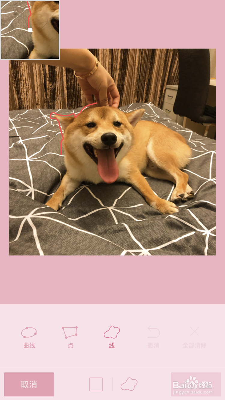 如何用手机软件LINE Camera抠图