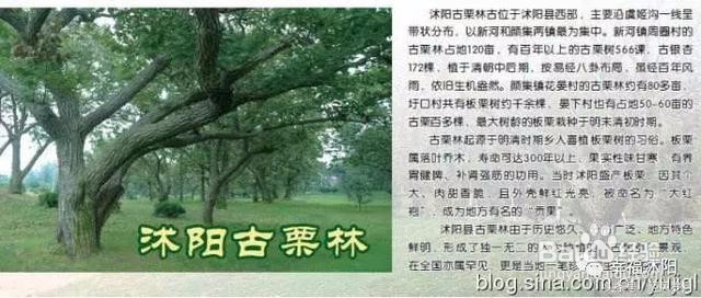 带你细数那些年沭阳有什么