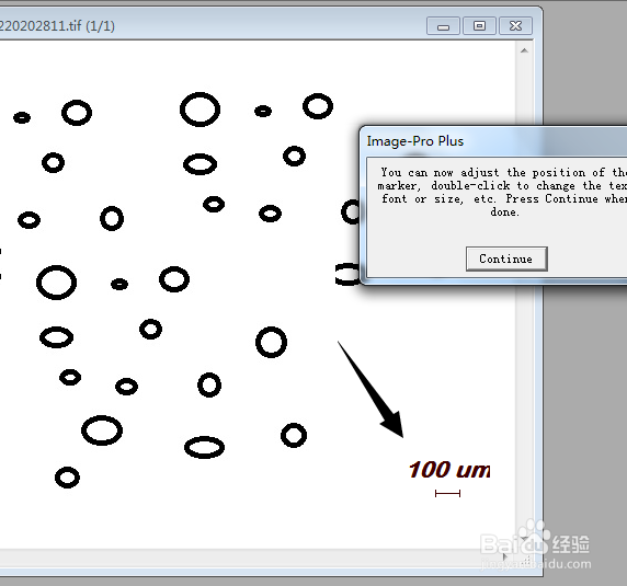 Imagepro plus 如何设置标尺数字字体？