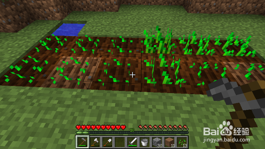 我的世界怎么种小麦