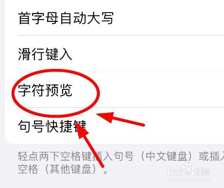 iPhone14怎么打开手机键盘中的字符预览功能