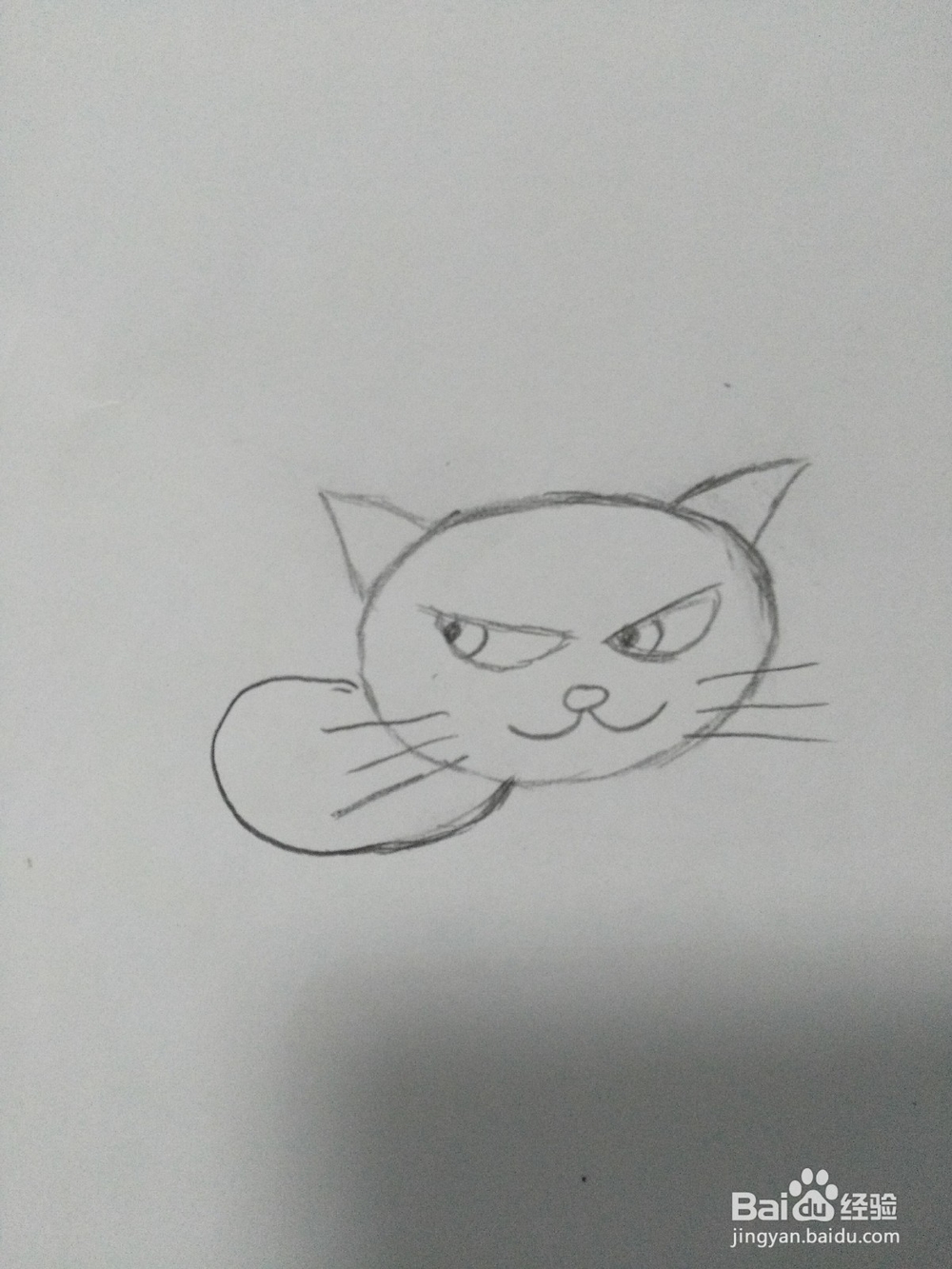 简笔画——可爱小猫咪的画法