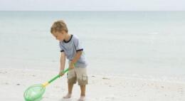 生活中孩子怎么带安全？