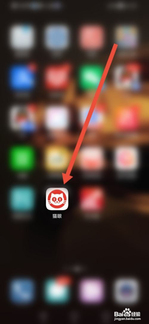 怎么查看猫眼的证照信息