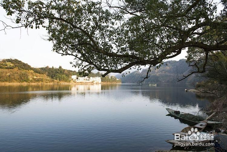 卖花渔村游玩攻略