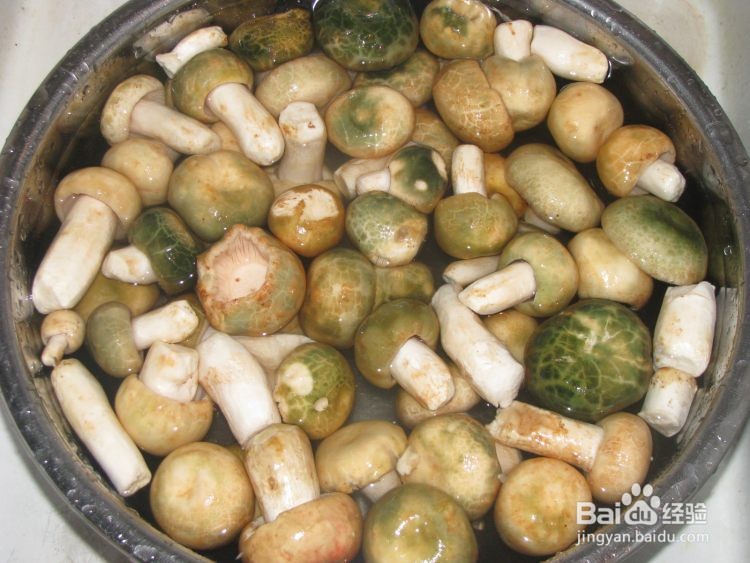 青头菌怎么做好吃