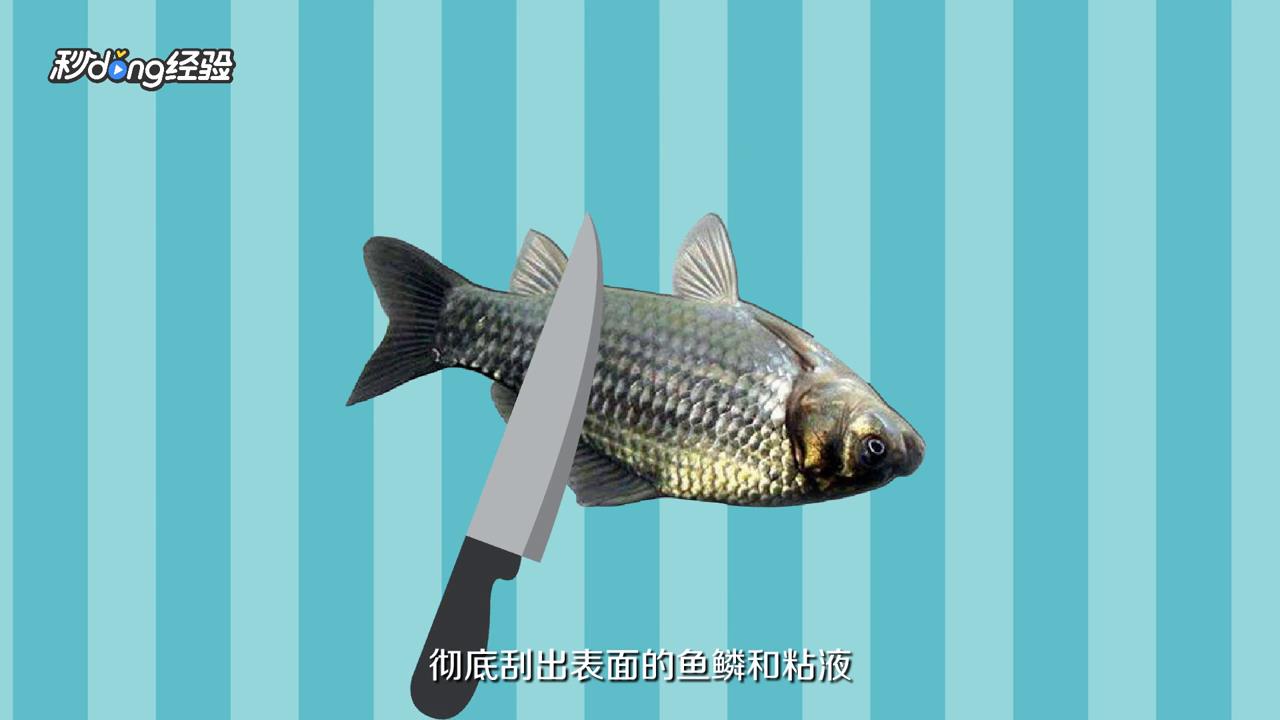 如何轻松片鱼片