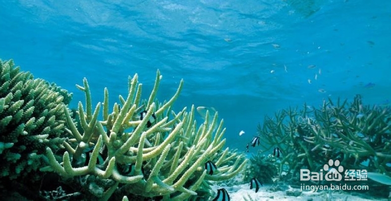 夏季食疗如何排毒有利防病