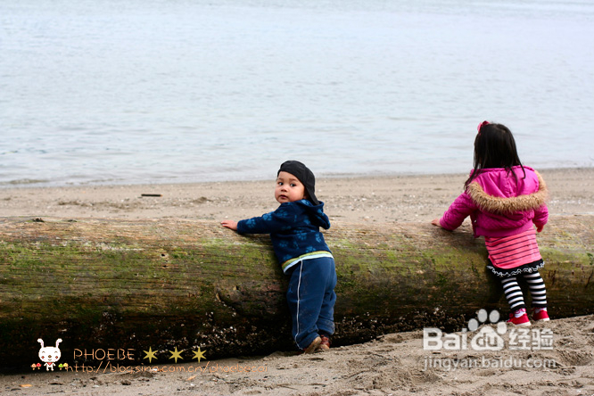 拾海的孩子&亲亲小动物(组图)