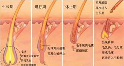 什么是冰点脱毛？