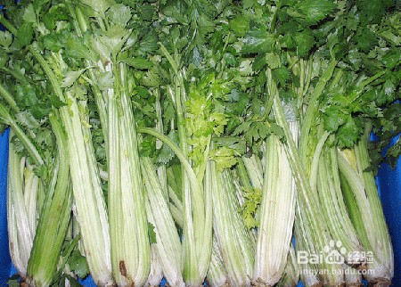 糖尿病人能吃芹菜吗