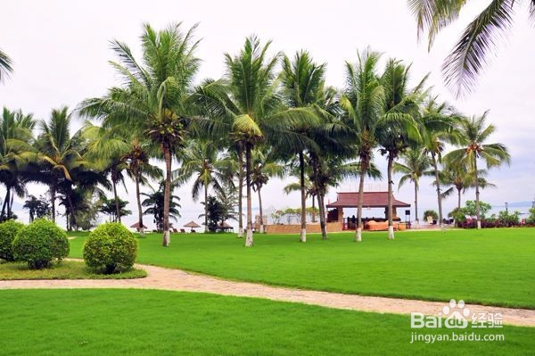 风光摄影技巧解析，教你如何拍摄风光大片