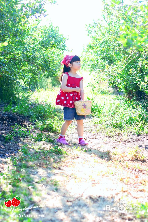 温哥华蓝莓园里的小清新