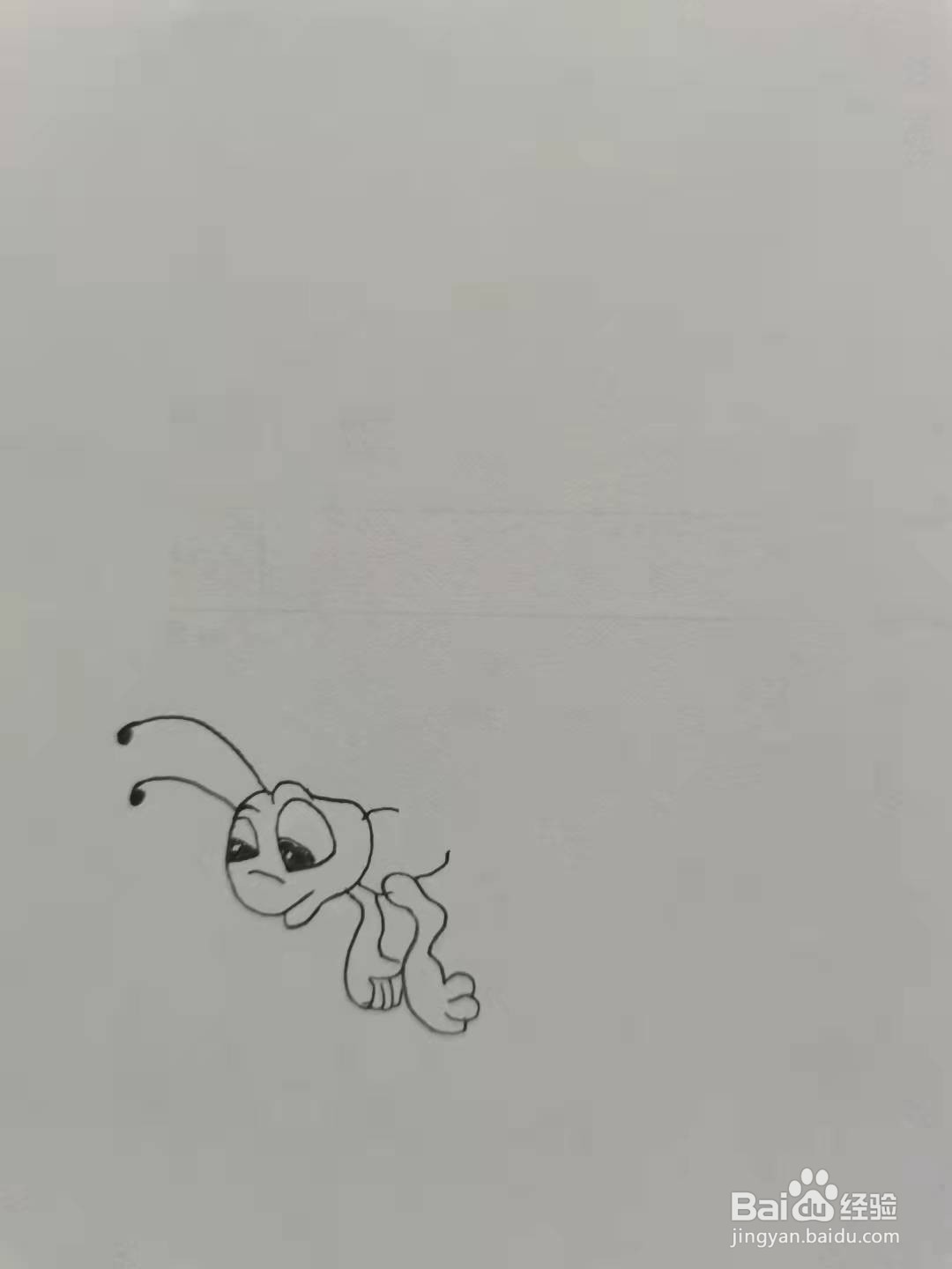 小蝴蝶简笔画