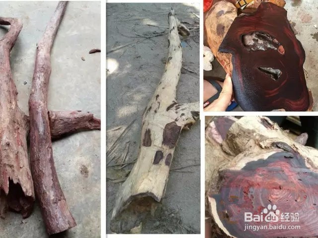 您知道如何买海南黄花梨原材料吗?