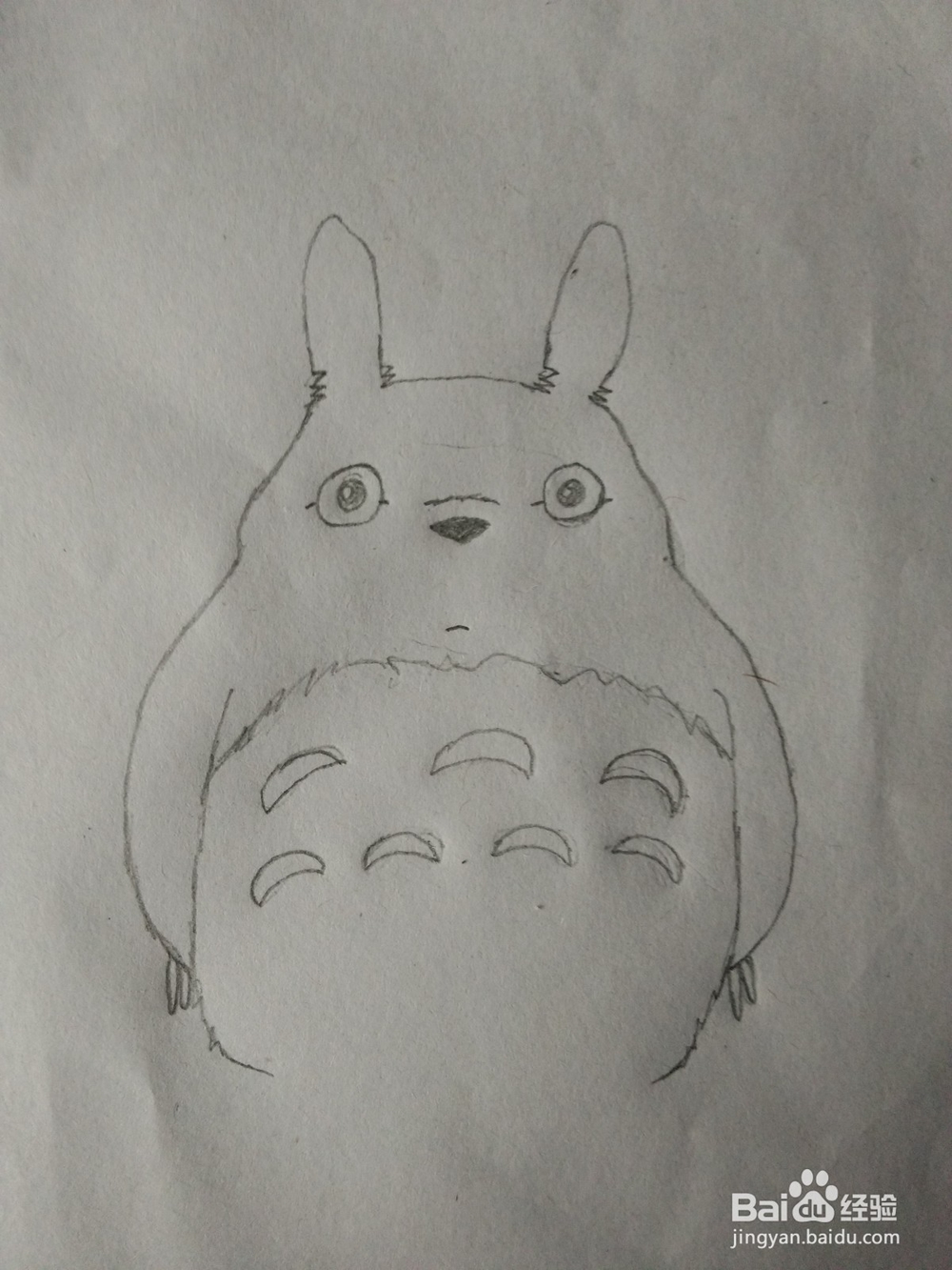 简笔画——怎么画龙猫