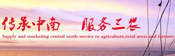 谁知道中南大宗是干什么的，是否真假