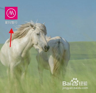 爱玛电动车用户怎样注销爱玛智行APP账号