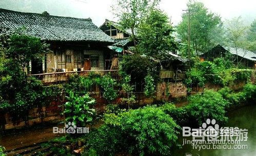 雅安地震之雅安回忆