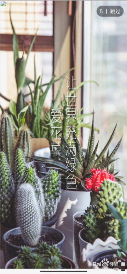 【爱花草】怎样设置花园封面