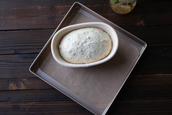 亚麻籽麦片乡村面包