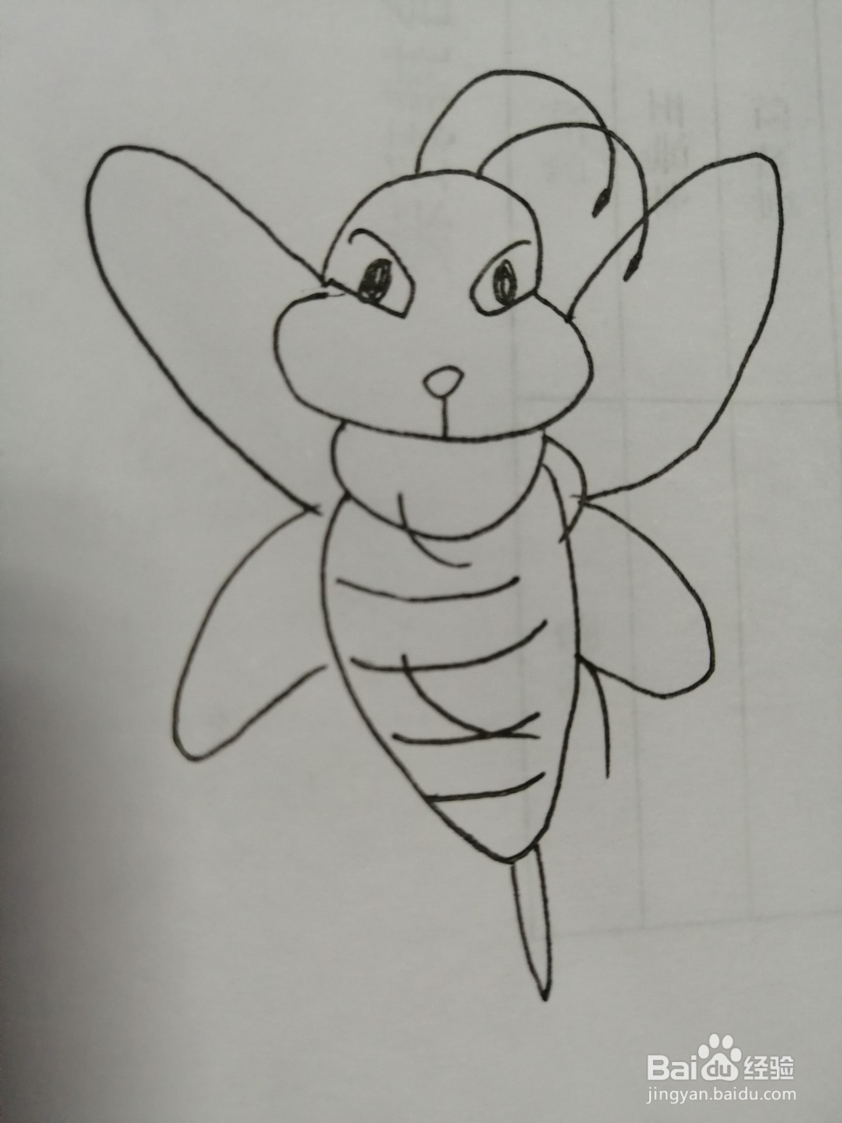 <b>可爱的小蜜蜂怎么画</b>