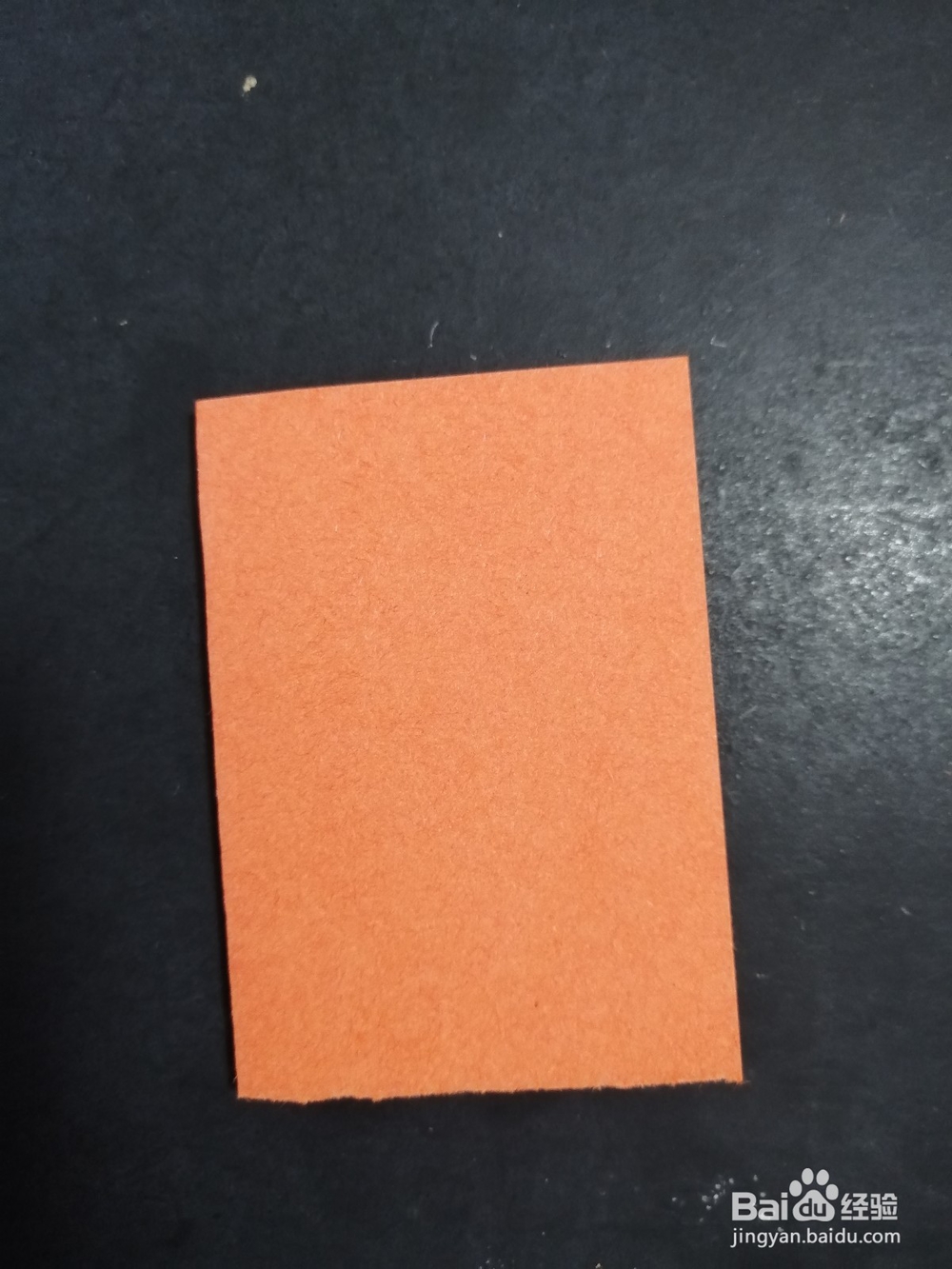 简单的猫头鹰怎么剪