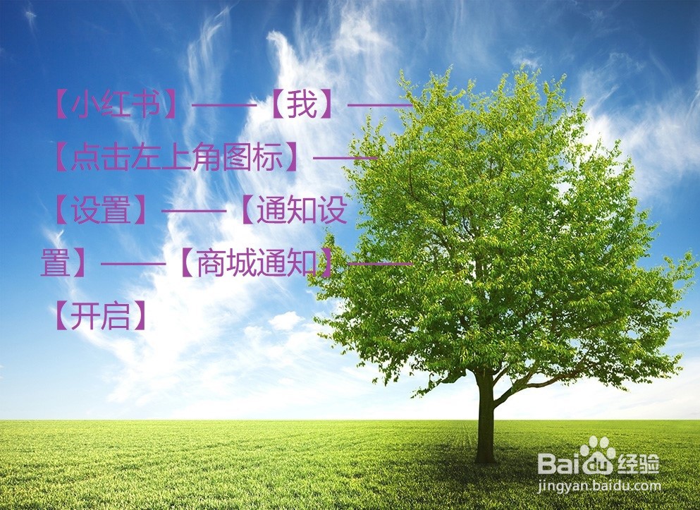 小红书怎么开启商城通知？