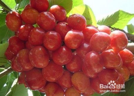 肌肤抗氧化 保护皮肤的方法有哪些？