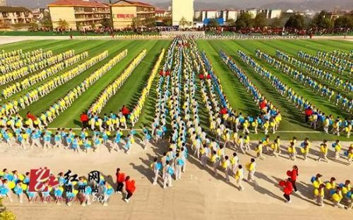 什么的拂动填空