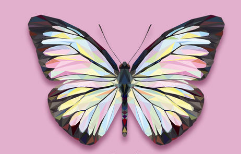 蝴蝶的家第一自然段中“吼叫着”“震撼着”喧嚷着”这些词语运用了什么的修辞形象地说明了