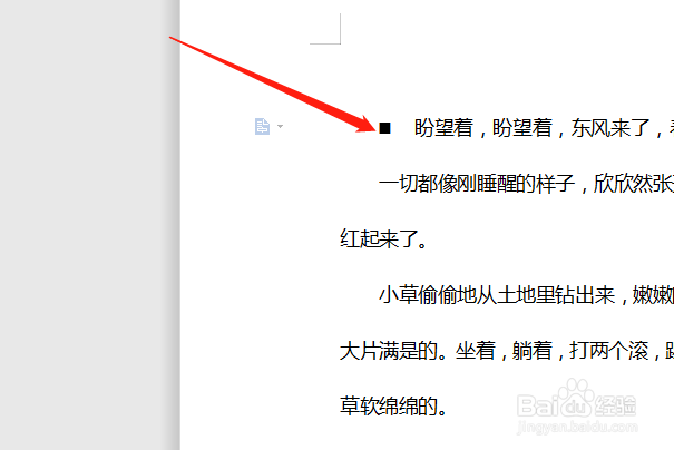 WPS WORD如何添加项目符号
