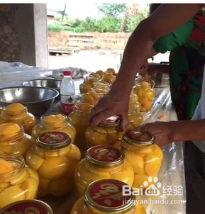 怎样做黄金桃罐头