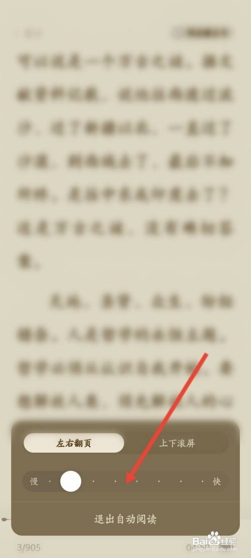 蛋花免费小说如何开启自动阅读