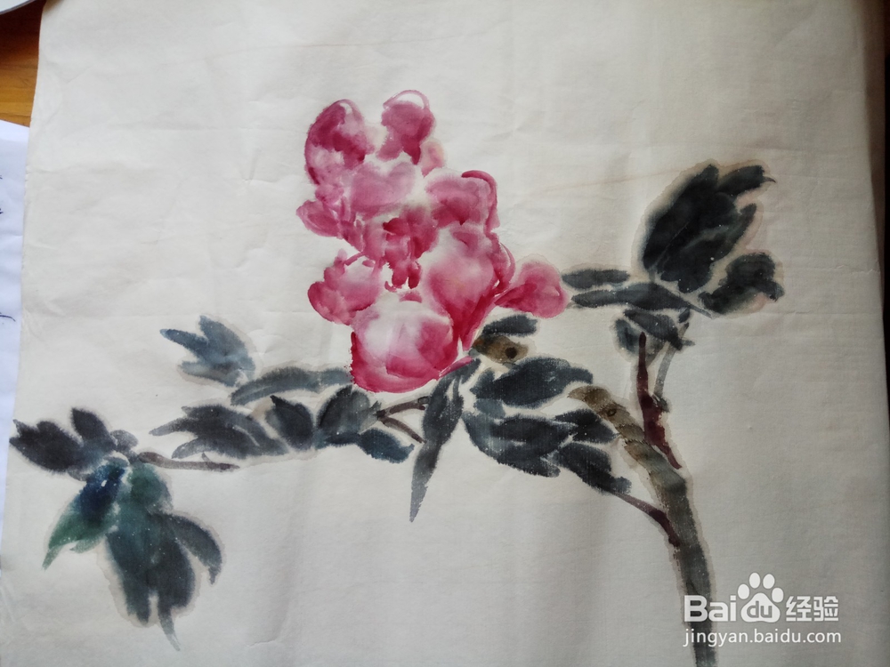 半开折枝牡丹的写意画法