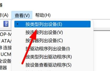 Windows11如何按照类型列出设备管理器中的设备