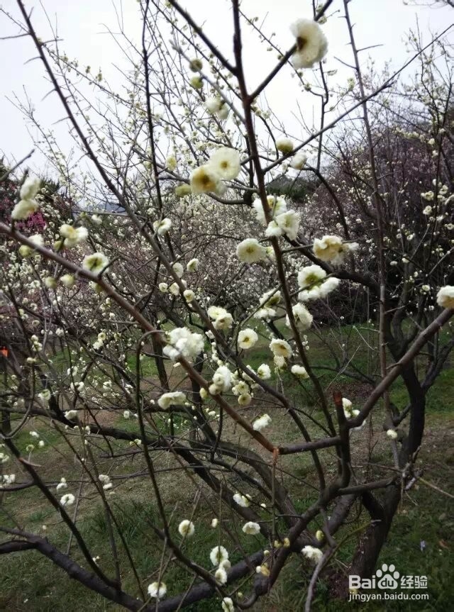 衣物清洗小妙招,很实用哦。