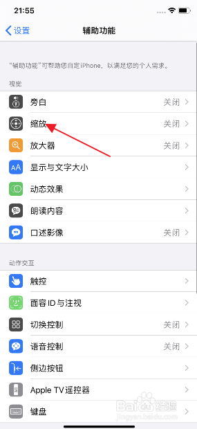 iphone11怎么开启控制缩放器轻点两下轻触朗读